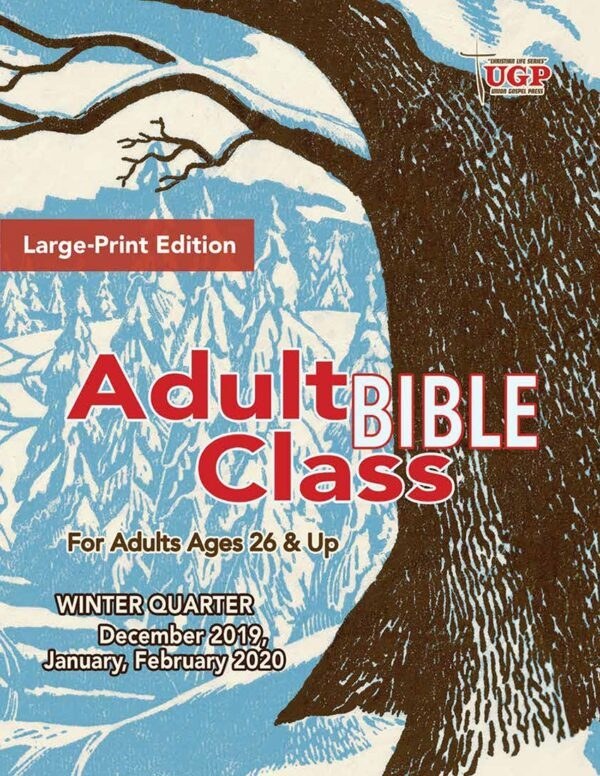 Adult Bible Class Large Print
