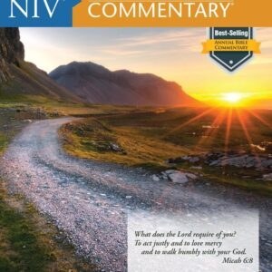 NIV Standard Bible Commentary
