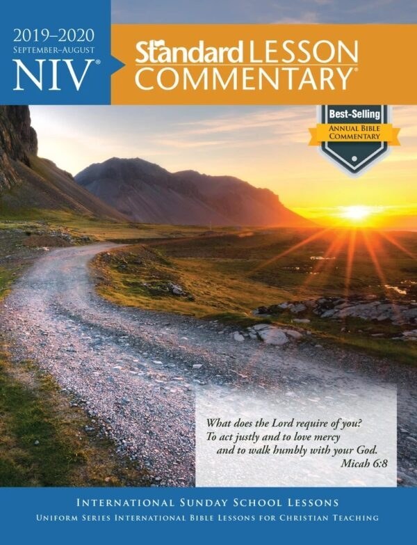 NIV Standard Bible Commentary