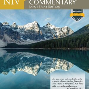NIV® Standard Lesson Commentary® Large Print Edition